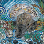 PLATYPUS DREAMING