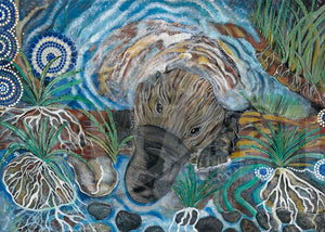 PLATYPUS DREAMING